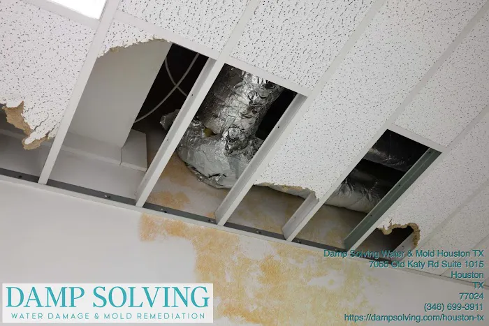 Damp Solving Water & Mold Picture 8