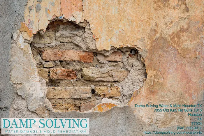 Damp Solving Water & Mold Picture 1