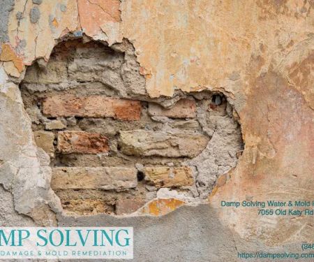 Damp Solving Water & Mold
