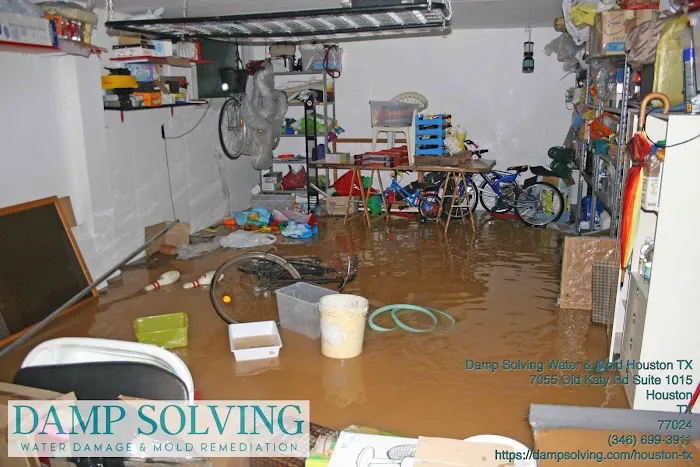 Damp Solving Water & Mold Picture 9