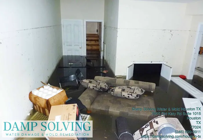 Damp Solving Water & Mold Picture 5