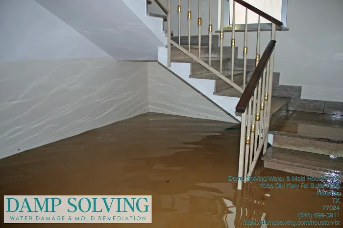 Damp Solving Water & Mold Picture 3