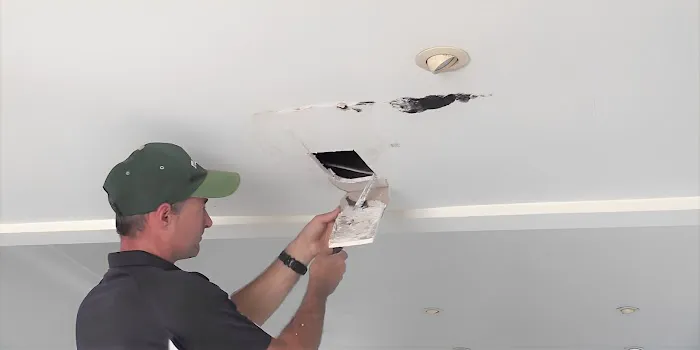 Water Damage Rescue Inc Picture 2