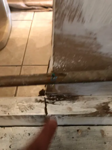 Pure Remediation Picture 1