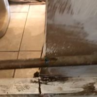 Pure Remediation ico