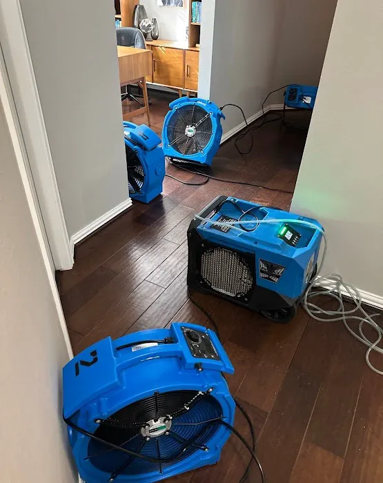 Best Water Restoration Picture 6