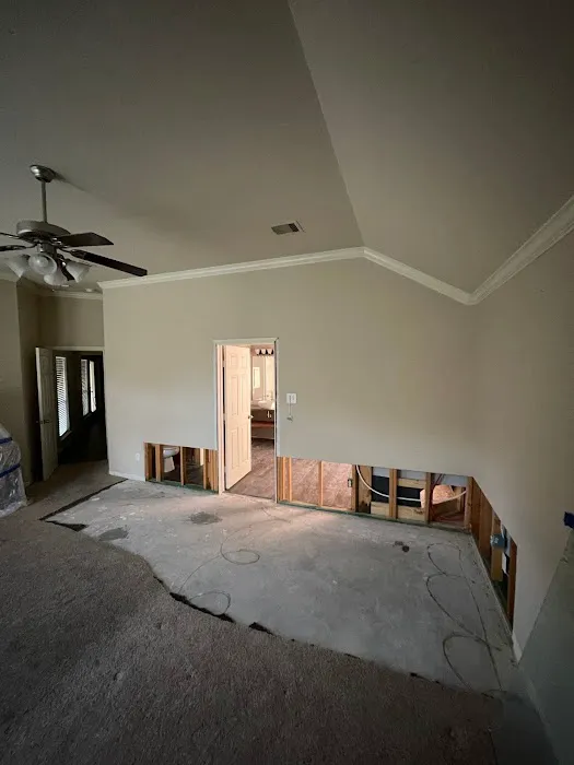 Texan Restoration Picture 5