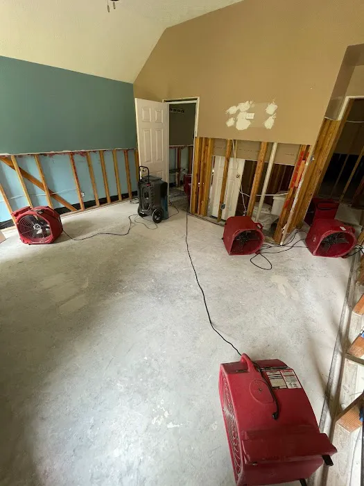 Texan Restoration Picture 8