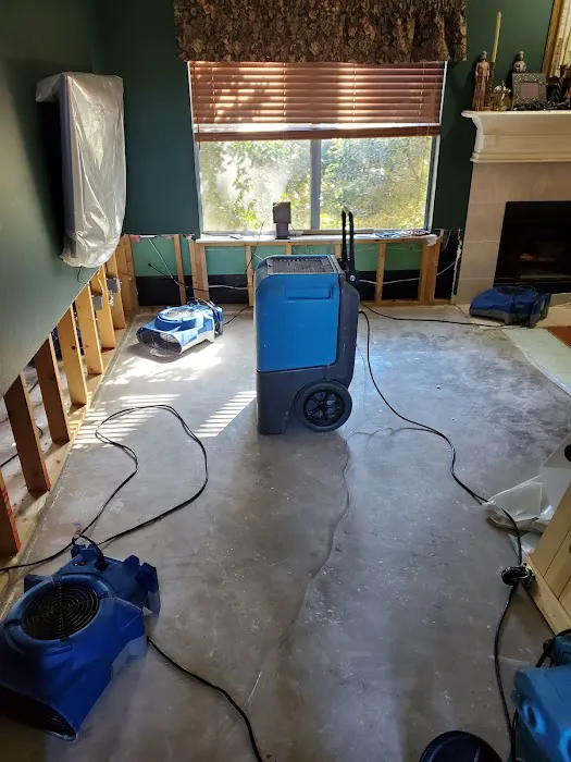 A's Restoration Picture 7