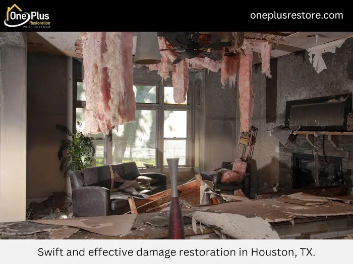 One Plus LLC Picture 4