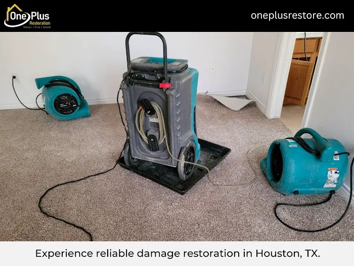 One Plus LLC Picture 6