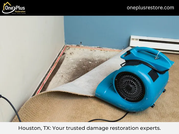 One Plus LLC Picture 3