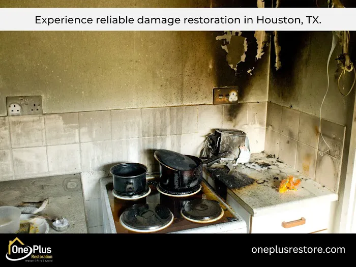 One Plus LLC Picture 2