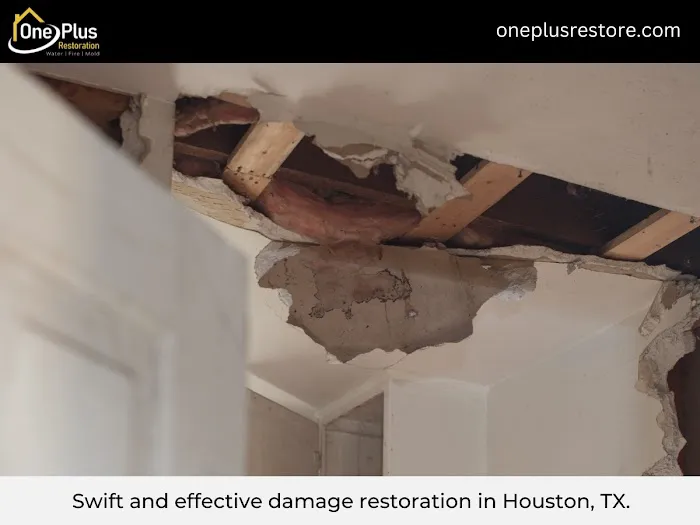 One Plus LLC Picture 5