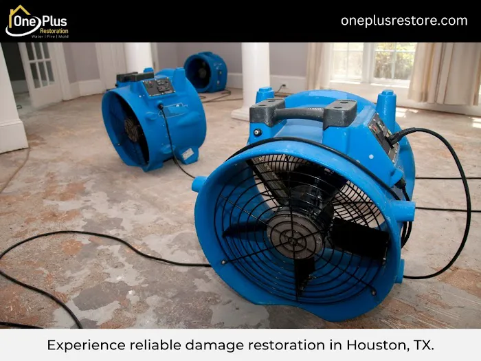 One Plus LLC Picture 10