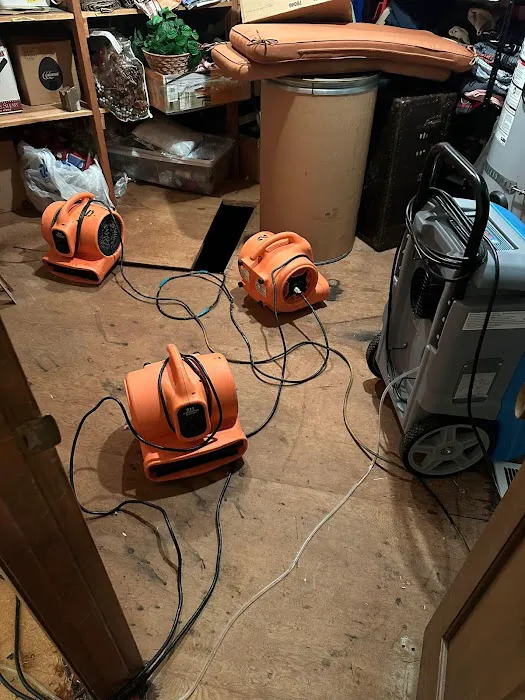 Restoration 24 Picture 2