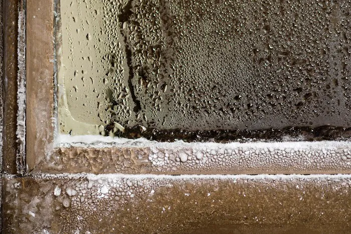 Texan Water Damage Restoration Houston TX Company Picture 6