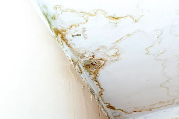 Texan Water Damage Restoration Houston TX Company Picture 4