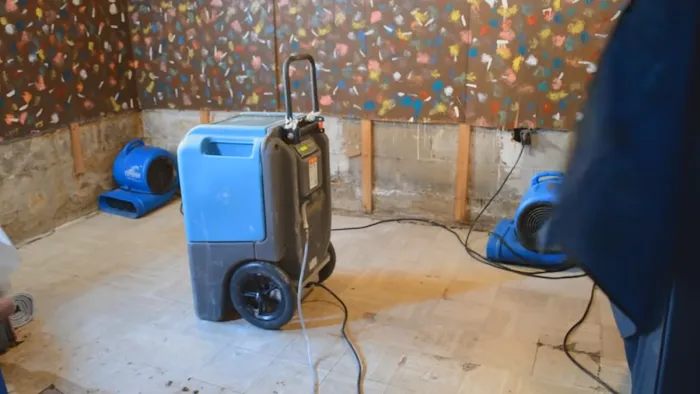 Taylor Pro Water Damage Picture 3