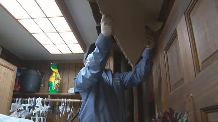 Taylor Pro Water Damage Picture 6