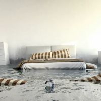 NEKO - Water Damage Restoration in Houston ico