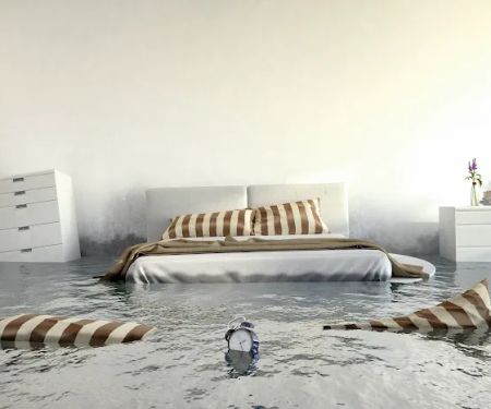 NEKO - Water Damage Restoration in Houston