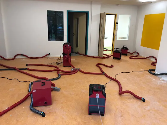 NEKO - Water Damage Restoration in Houston Picture 3