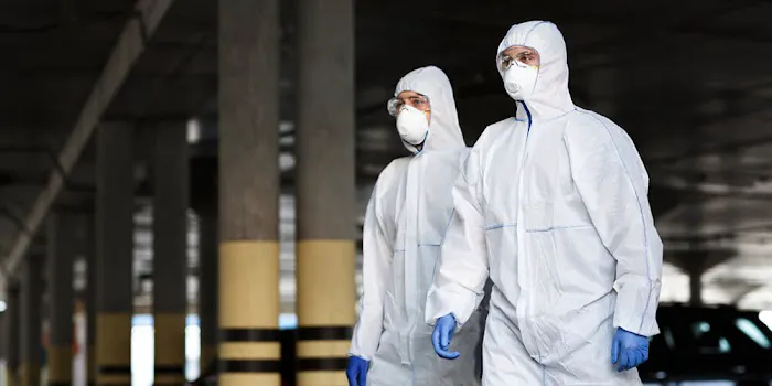 Prime Restoration Picture 1