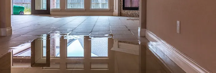 Prime Restoration Picture 5