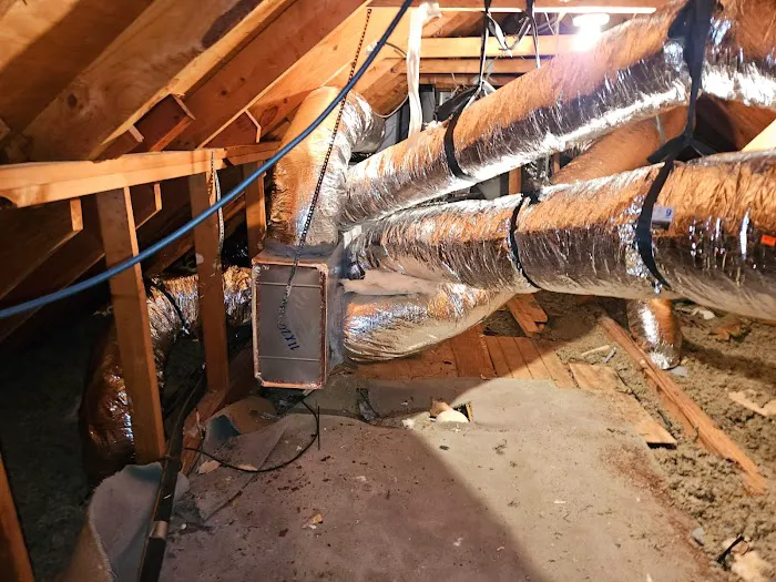 Top Star Air Pros Picture 4