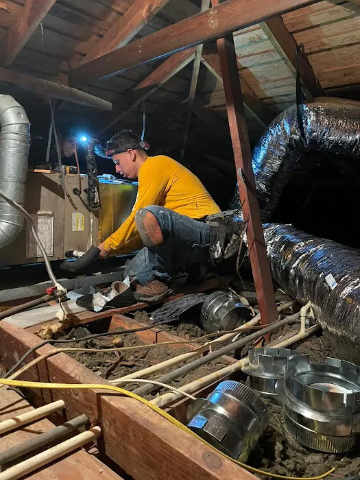 Top Star Air Pros Picture 5