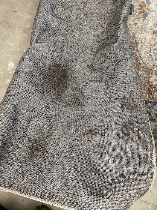 Kiwi Services Picture 2