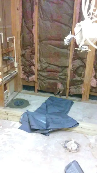 Kiwi Services Picture 1