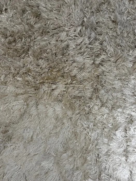 Kiwi Services Picture 3