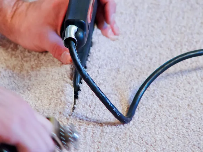 Kiwi Services Picture 4