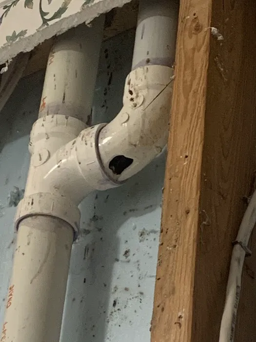 Service Squad Picture 3