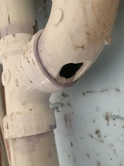 Service Squad Picture 7