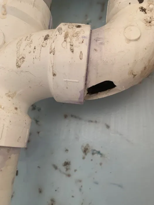 Service Squad Picture 5