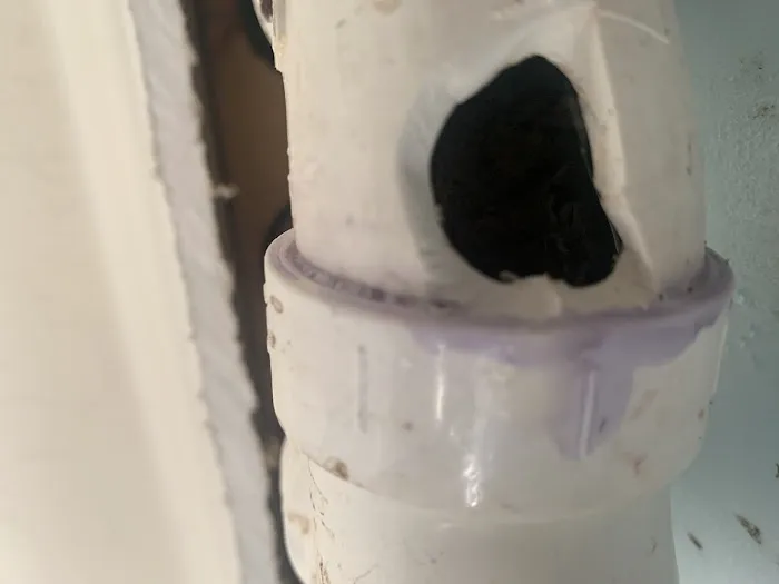 Service Squad Picture 4