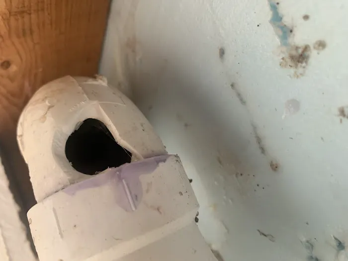 Service Squad Picture 6