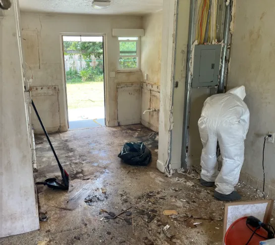 Mold Remediation Houston Heroes Picture 3