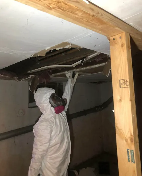 Mold Remediation Houston Heroes Picture 1