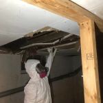 Mold Remediation Houston Heroes
