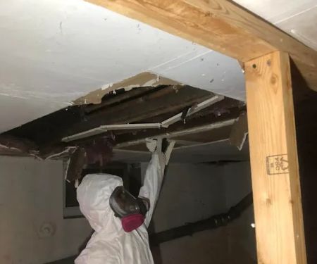 Mold Remediation Houston Heroes