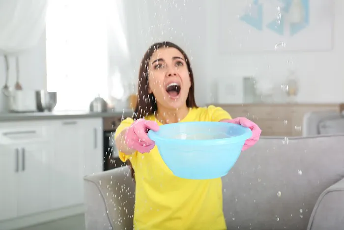 Flood Masters South Central Houston Picture 3