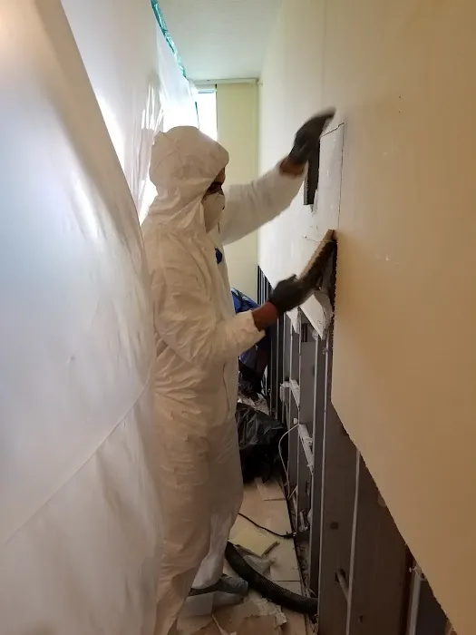 NEKO Water Picture 1