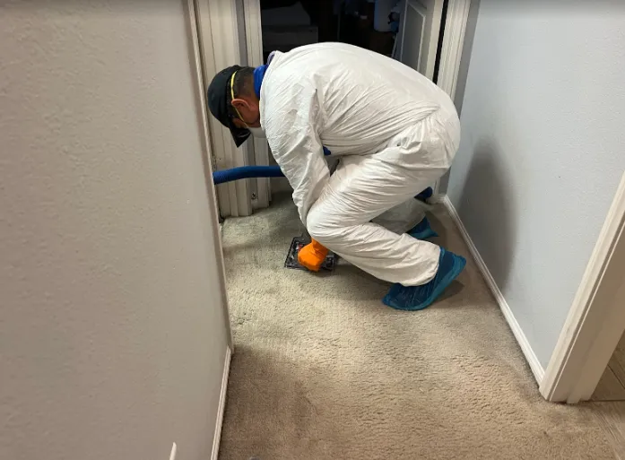 Houston Mold Remediation Picture 6