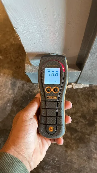 Mundae Services Picture 2