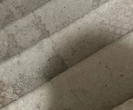 SuperDry Flood Cleanup