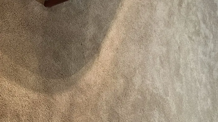 SuperDry Flood Cleanup Picture 6